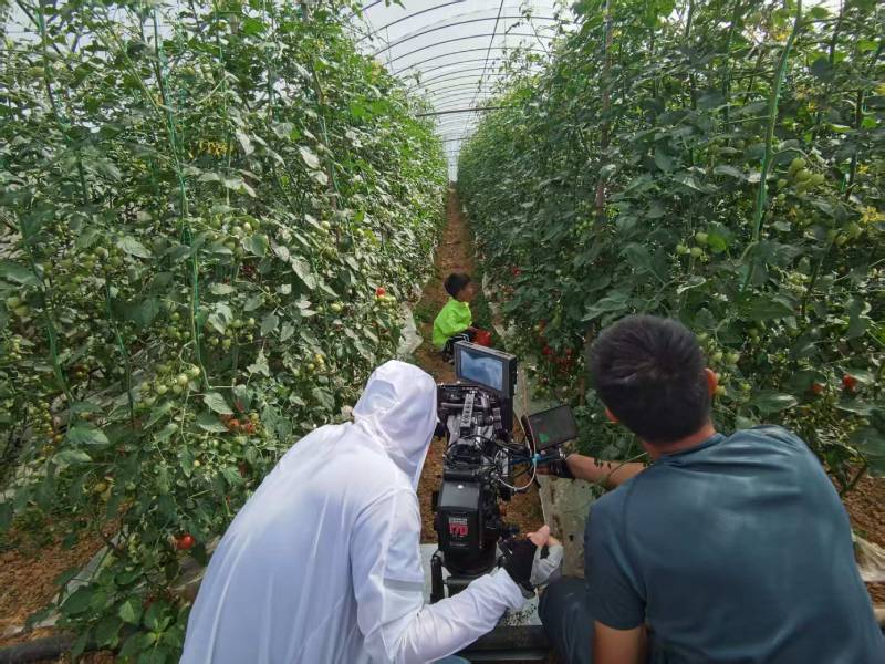 囊谦县产品宣传视频拍摄公司进阶指南，助力品牌抢占传播高地